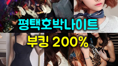 평택호박나이트 체험 후기: 40대 중반 남자의 솔직한 평가